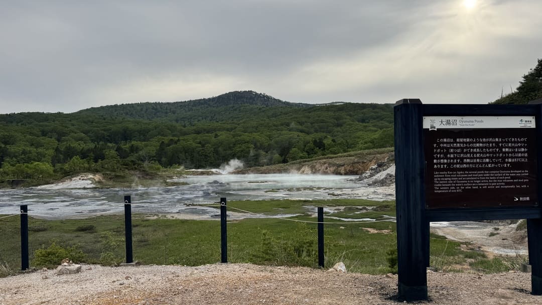 後生掛自然研究路