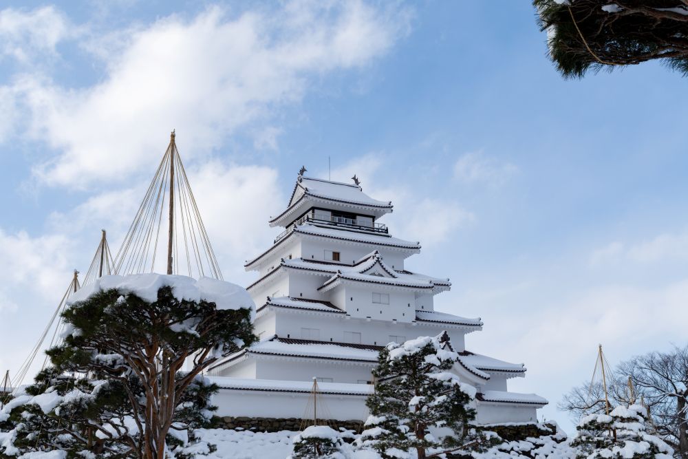 鶴ヶ城と雪吊り