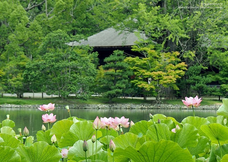 国宝白水阿弥陀堂