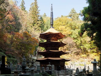 上田城と生島足島神社などの上田市八社巡りバスツアーのイメージ写真1