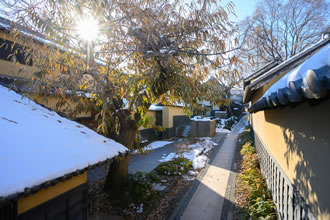 戸隠神社五社巡りと善光寺ツアーのイメージ1