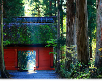 凛とした空気が漂う奥社の杉並木は圧巻