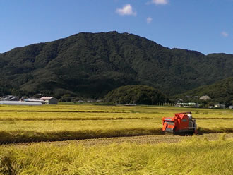 佐渡島＆越後の一宮三社巡りツアーのイメージ写真1