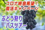 ぶどう狩りバスツアー