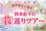 お花見ツアー特集