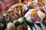 食べ放題プランバスツアー