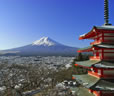 富士山五合目と山麓周遊ツアー