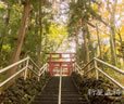 大善寺と新屋山神社バスツアー