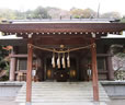 安房神社&鶴谷八幡宮参拝ツアー
