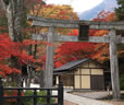 古峯神社と日光二社一寺ツアー