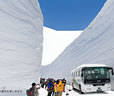 立山黒部アルペンルート バスツアー