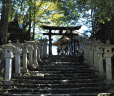 三峯神社の朔日参りバスツアー