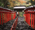 貴船神社と伏見稲荷ツアー