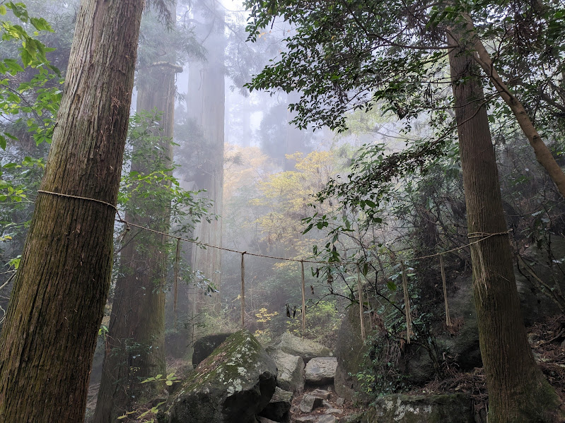 幻想的な登山道