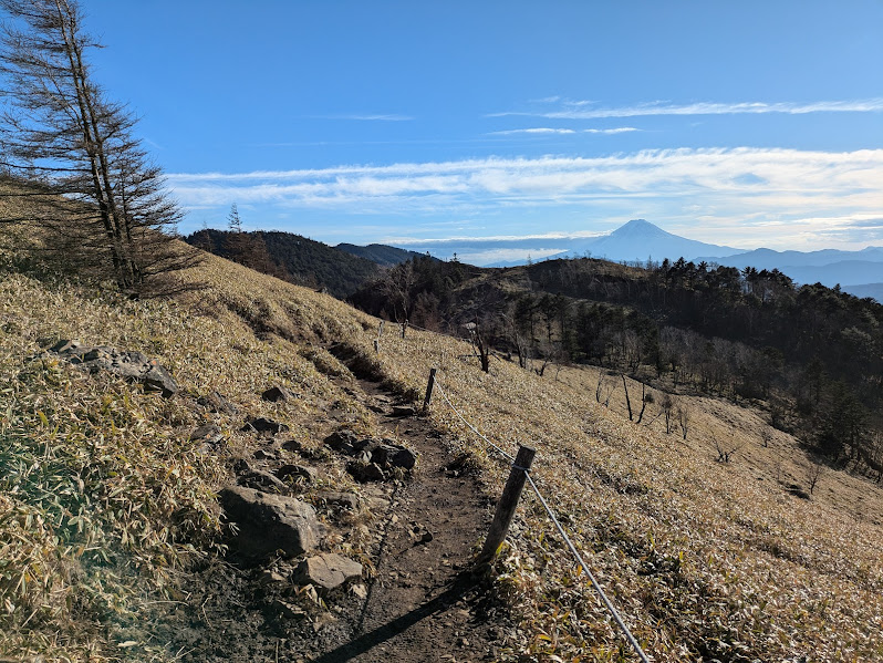 富士山をのぞもながら穏やかな稜線を歩きます！