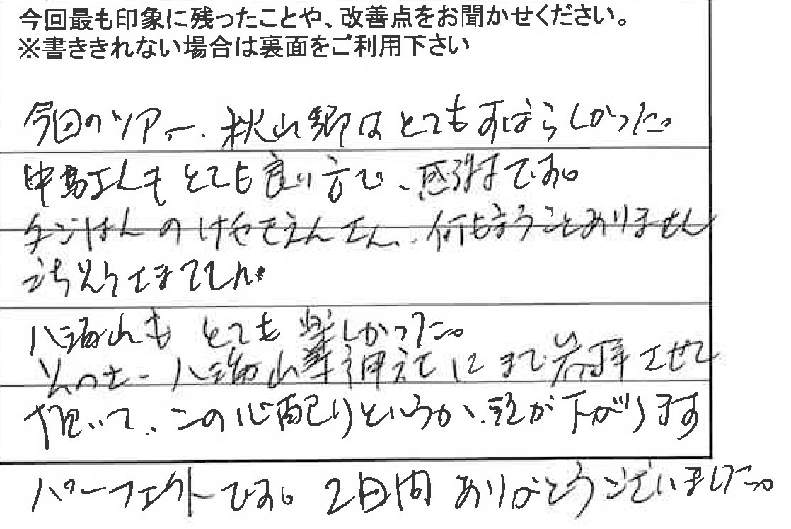 お客様からの感想