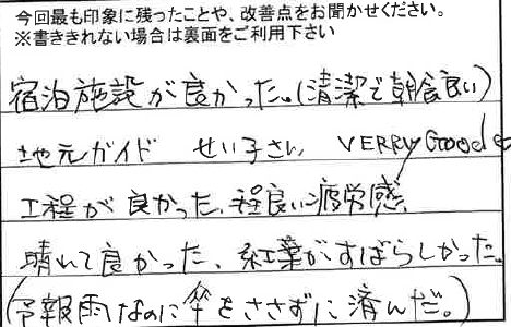 お客様からの感想