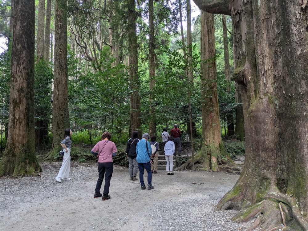 霧島神宮　山神社も参拝