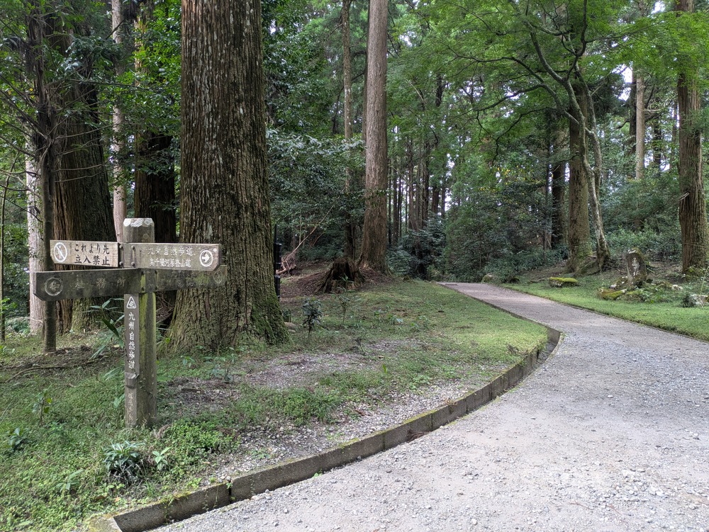 霧島神宮の境内を歩く