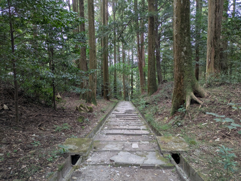 霧島神宮の旧参道。坂本龍馬もここを通って参拝したそうです