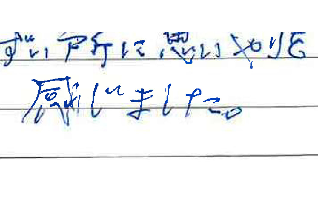 お客様からの感想