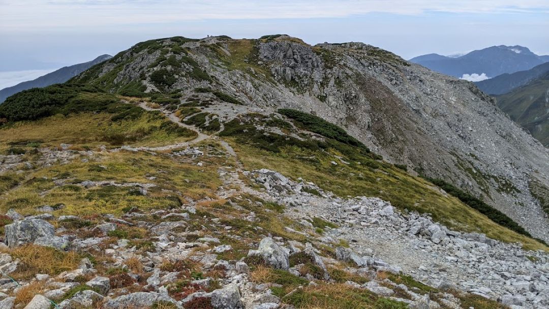 浄土山山頂付近