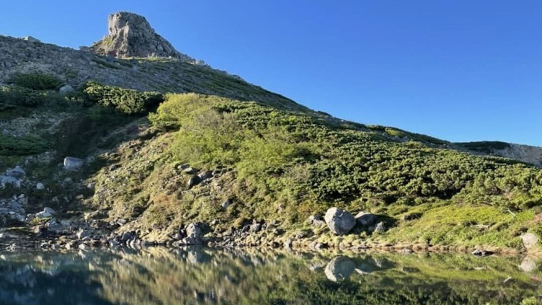 御池巡りの様子