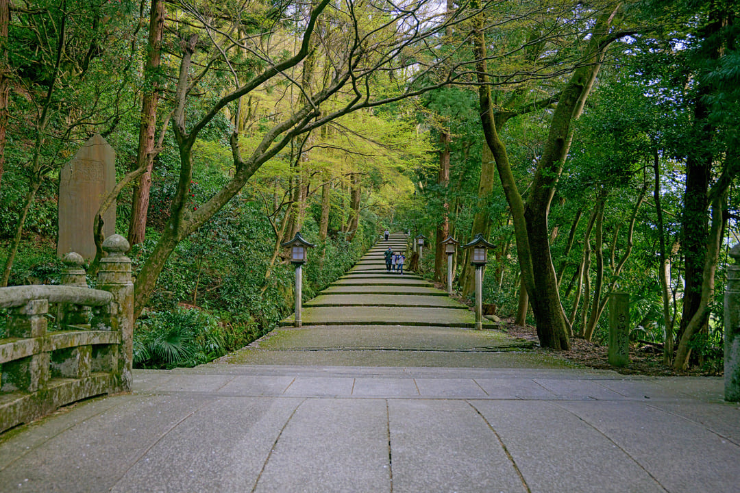 白山比咩神社 表参道の風景