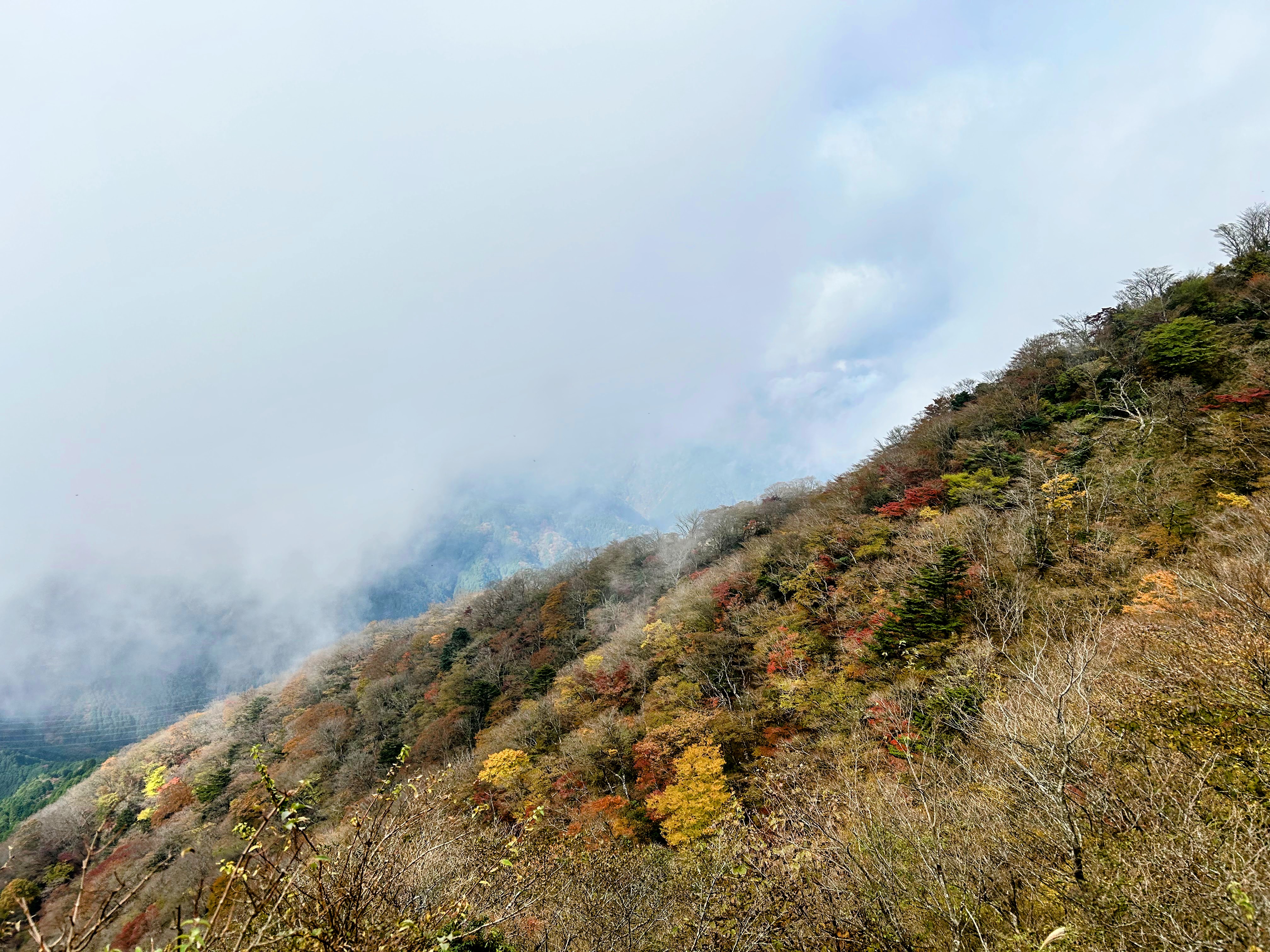 大山からの景色゙