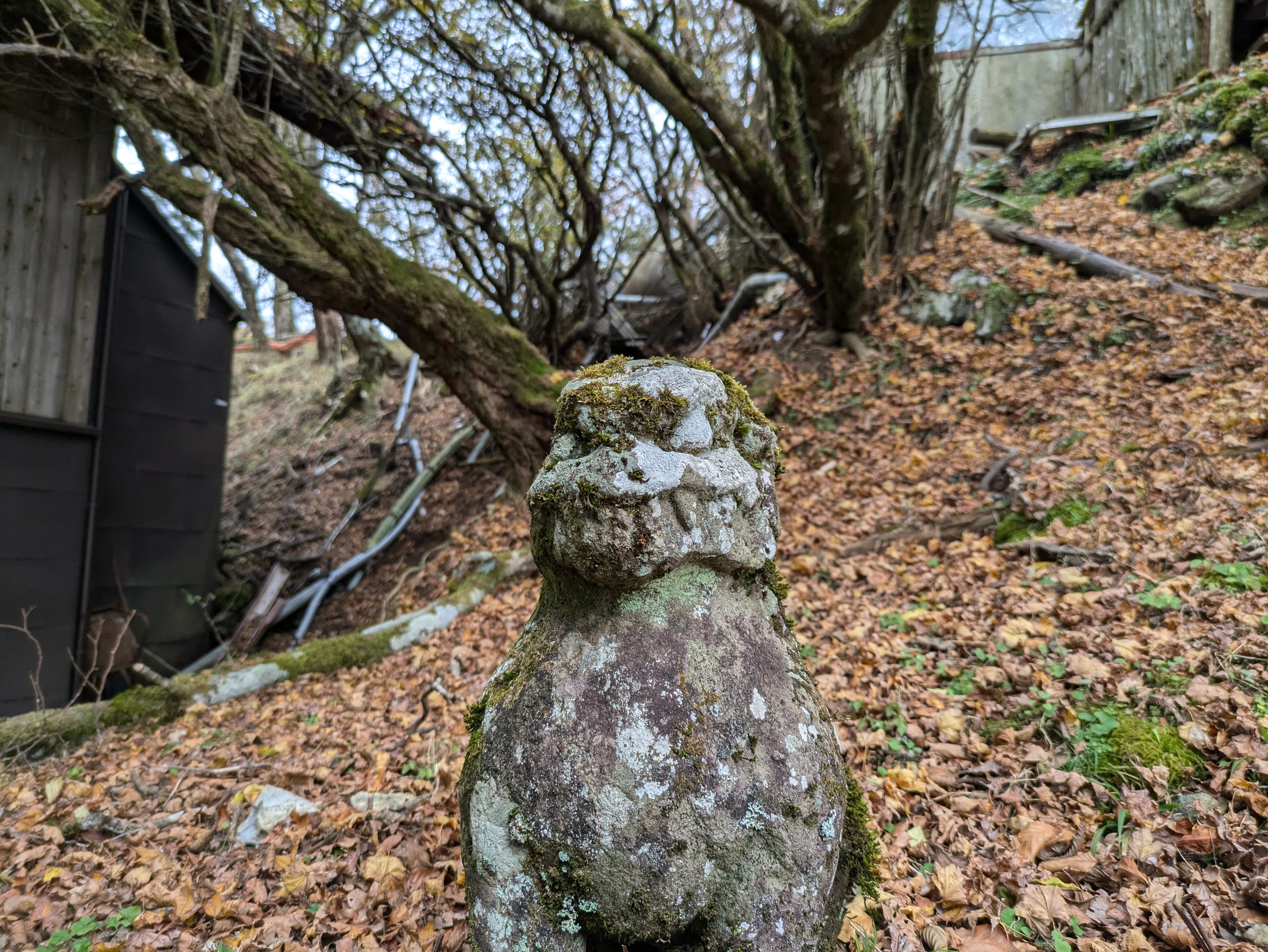 大山奥の院狛犬