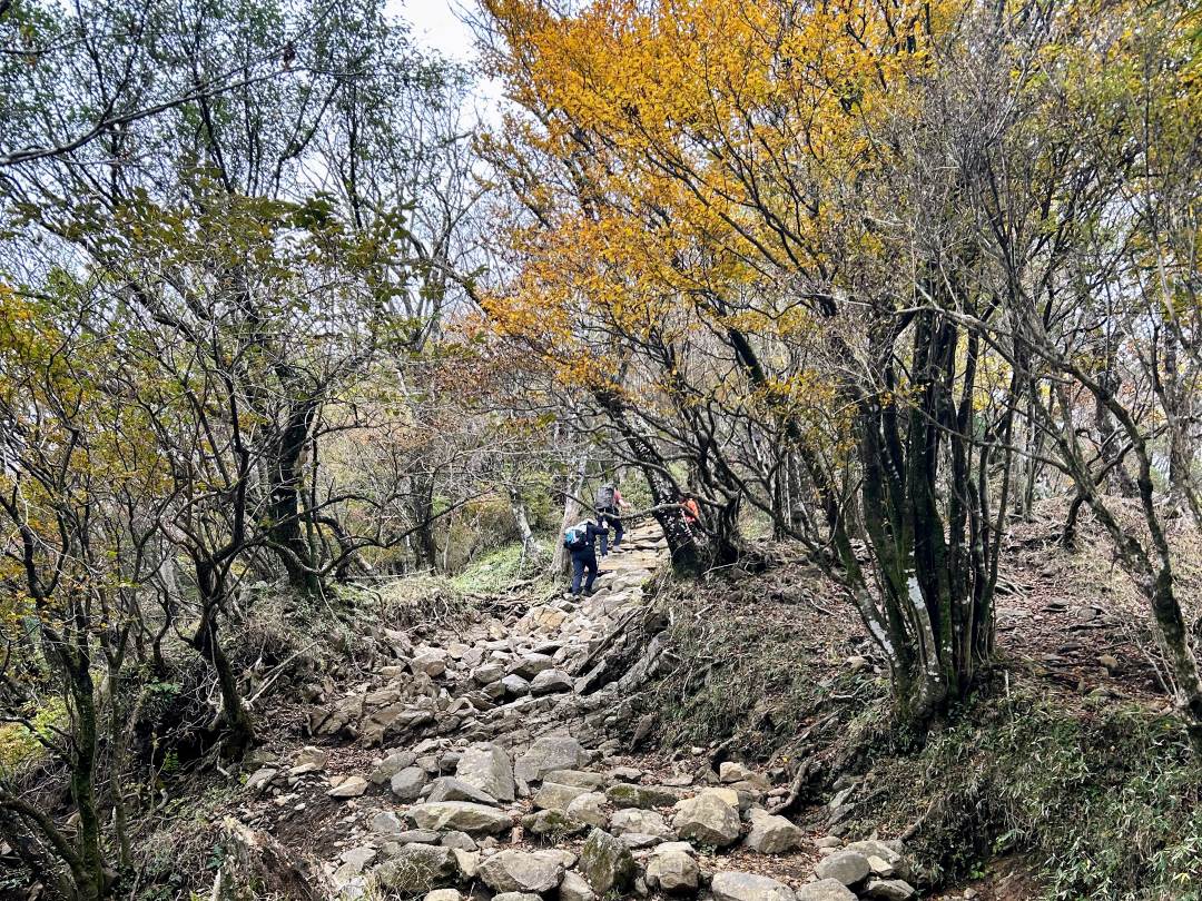 大山登山道