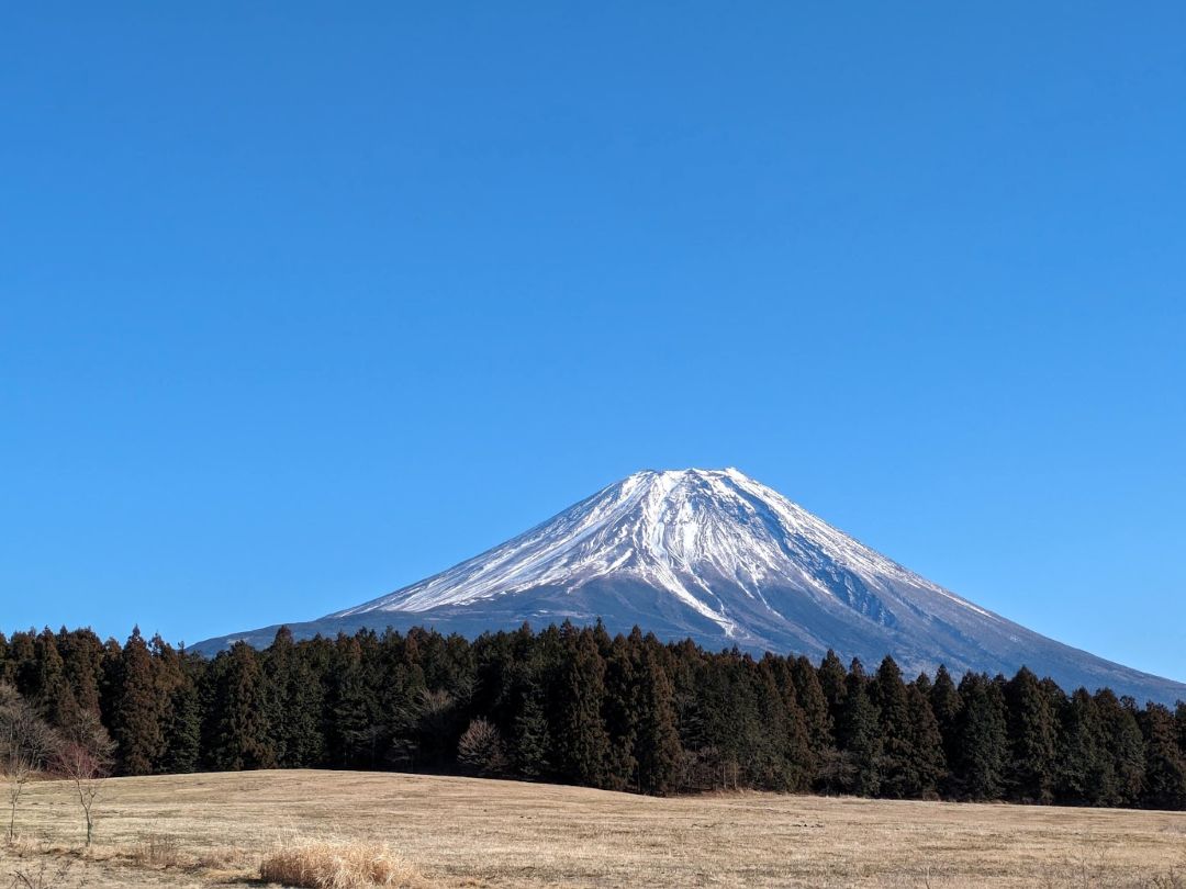 西側からの富士山と大沢崩れ