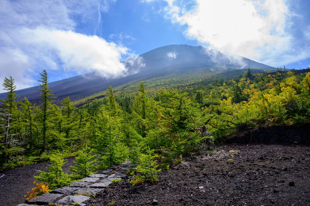御中道ハイキングと小室浅間神社と御胎内体験バスツアー