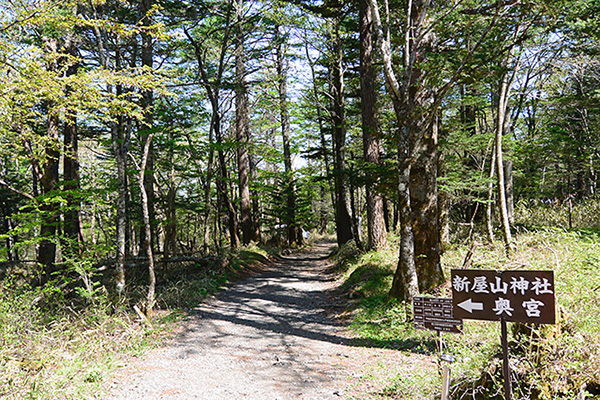 柔らかな新緑と雄大な富士山を楽しみつつ、30分ほどで奥宮入口に着きました。