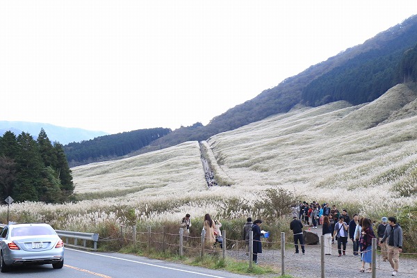 箱根仙石原のすすきと星空観賞バスツアー