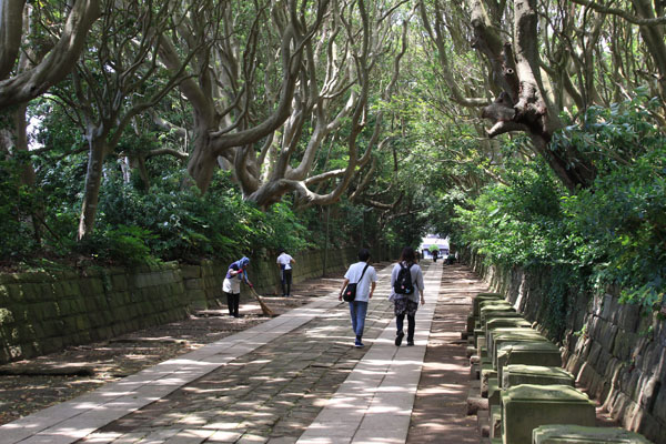 酒列磯前神社。参道が見事です。