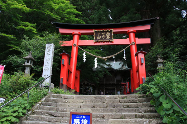 境内はちょうど茨城と栃木の県境にあります