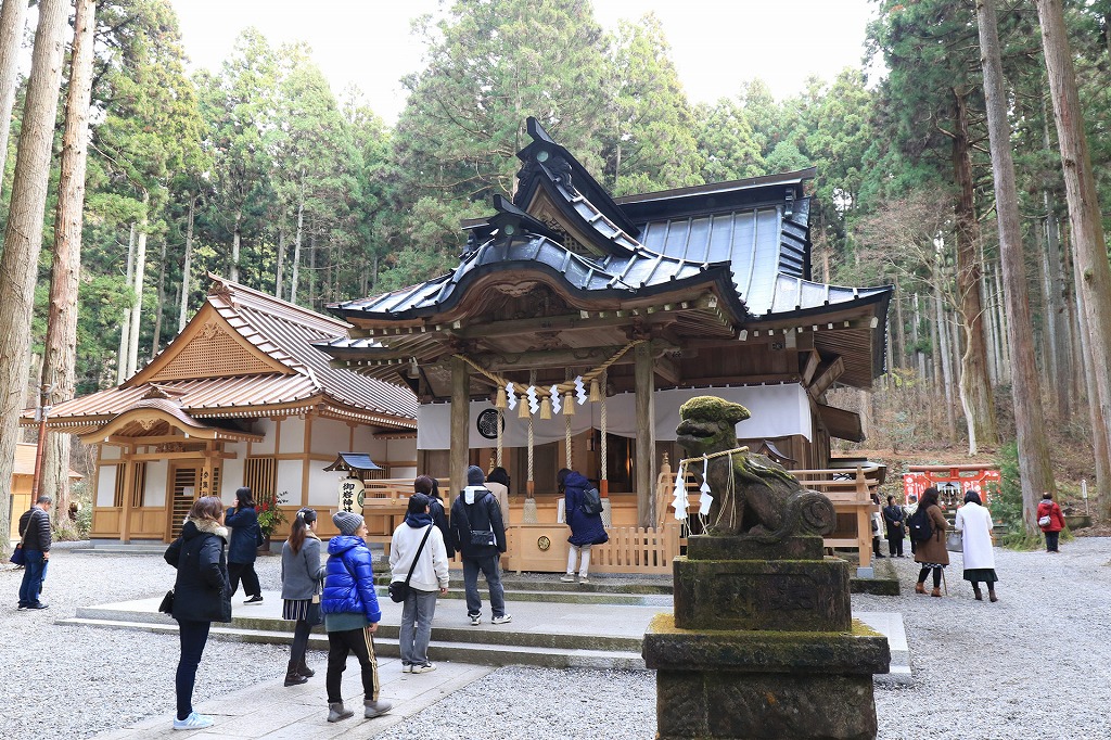 御神木の三本杉。