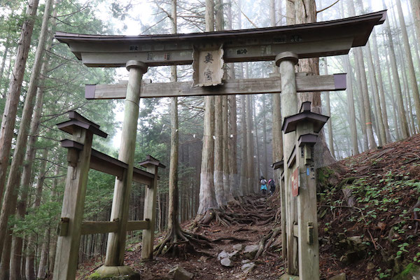 霧の中神様とつながっている感じがします