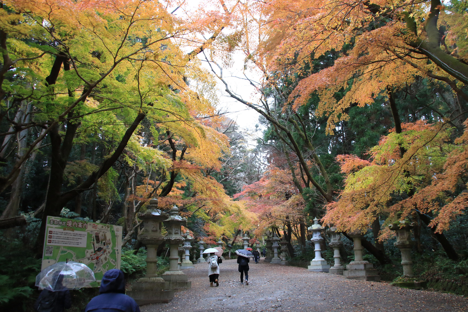 参道にはもみじの紅葉がまだ残っていてきれいでした。