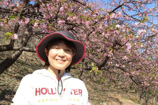 花見感覚でウォーキングできるのがこの桜山