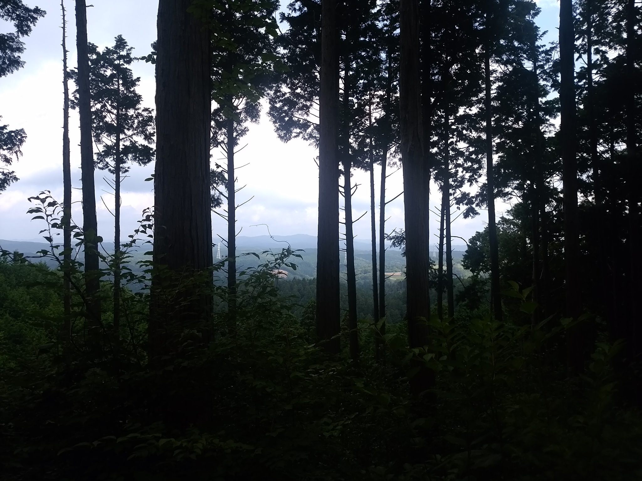 御岩山からの景色