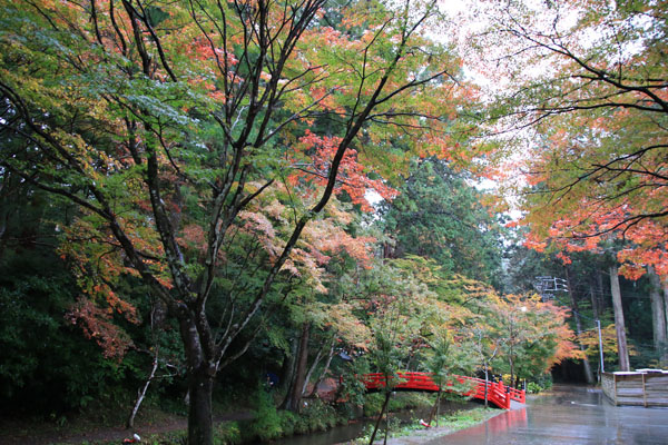横の川沿いには見事な紅葉が見られます。