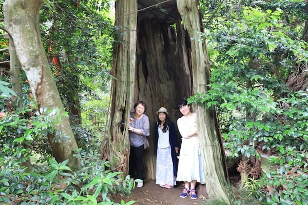 香取神宮にある木の中で記念撮影