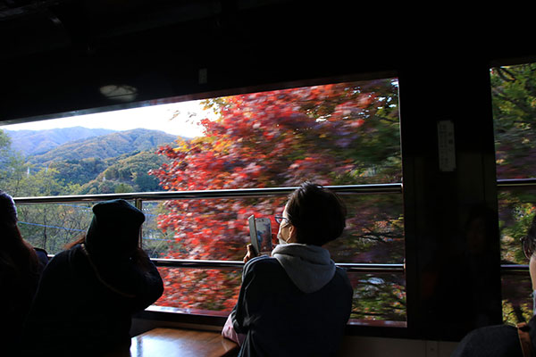 紅葉の日光とわたらせ渓谷バスツアー