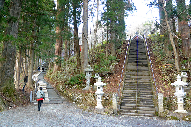 山道の様子