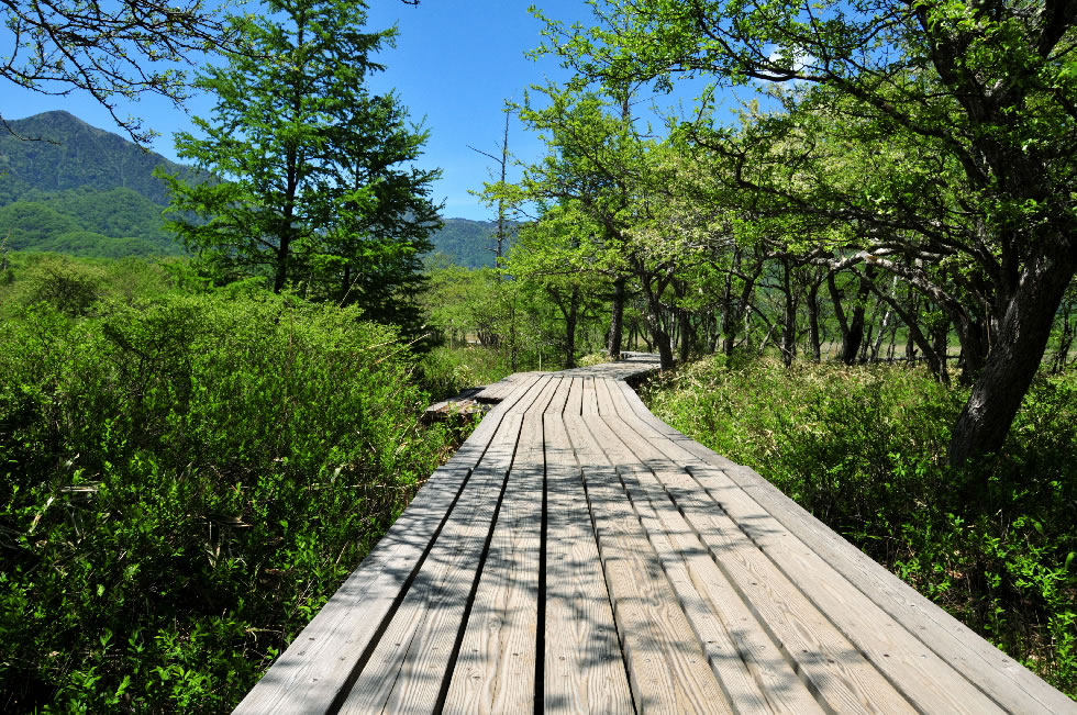 山道の様子