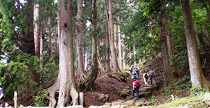 山道の様子