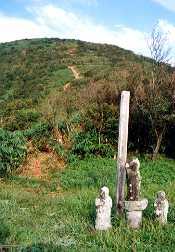 竜ヶ岳〜本栖湖・富士山・南アルプスの眺望が抜群!竜神息づく信仰の山〜