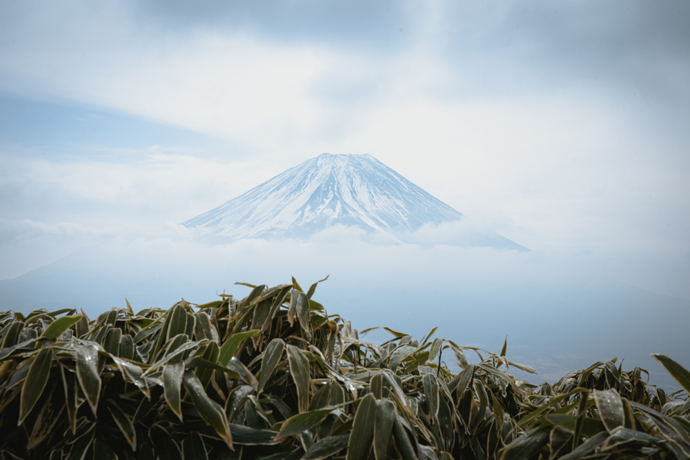 竜ヶ岳〜本栖湖・富士山・南アルプスの眺望が抜群！竜神息づく信仰の山〜